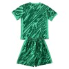 Conjunto (Camiseta+Pantalón Corto) Portero Países Bajos Euro 2024 Verde - Niño